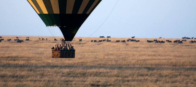 …por aire, tierra y agua…